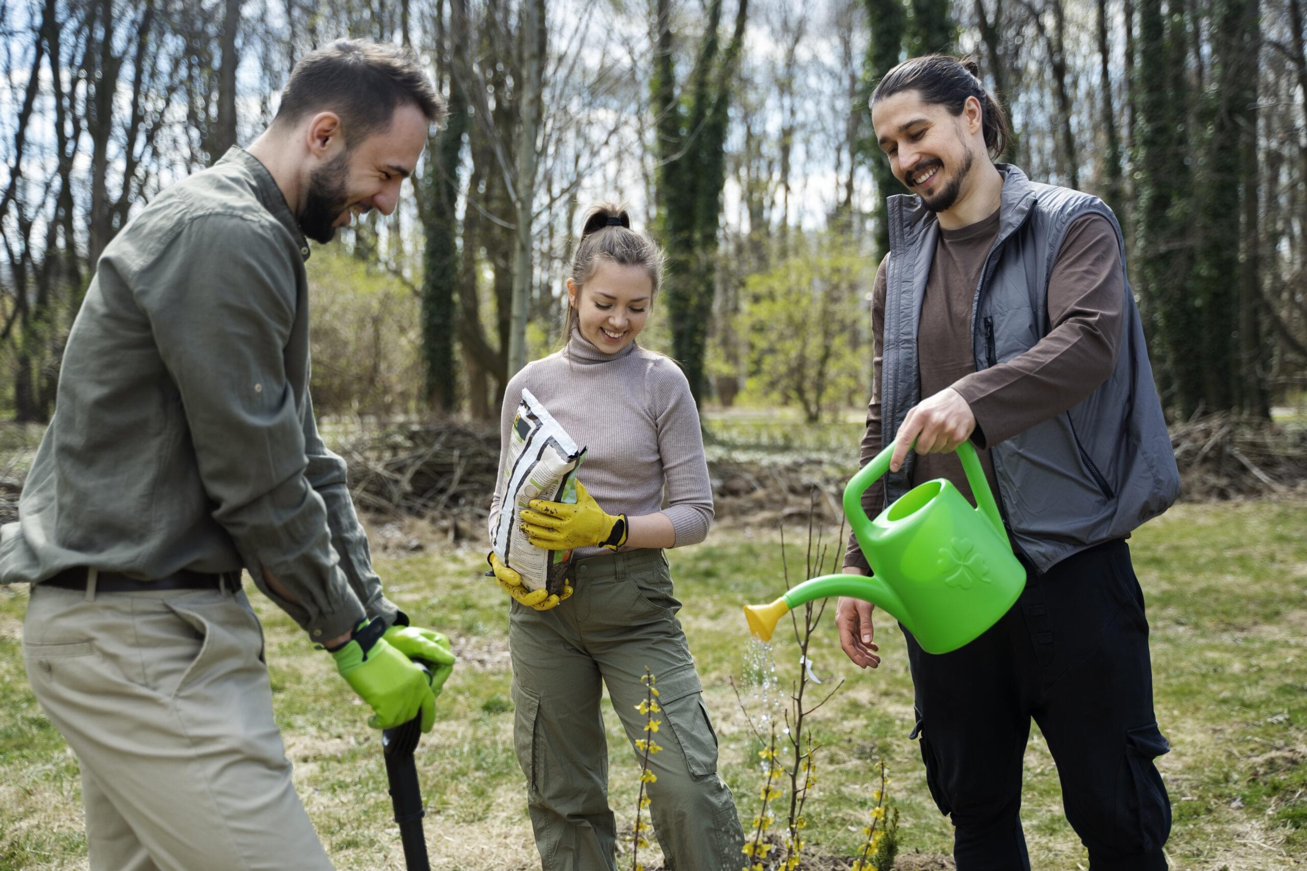 planting-trees-as-part-reforestation-process